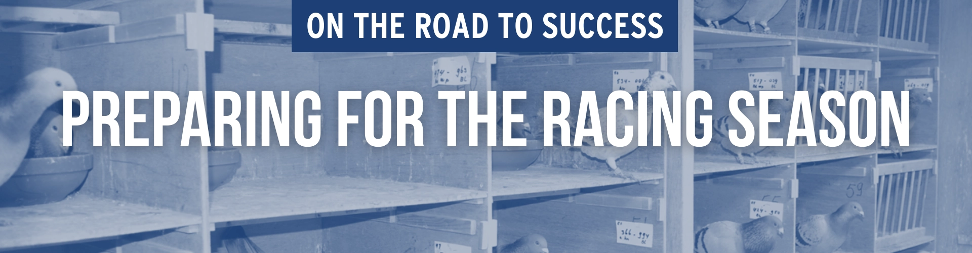 Preparing for the racing season