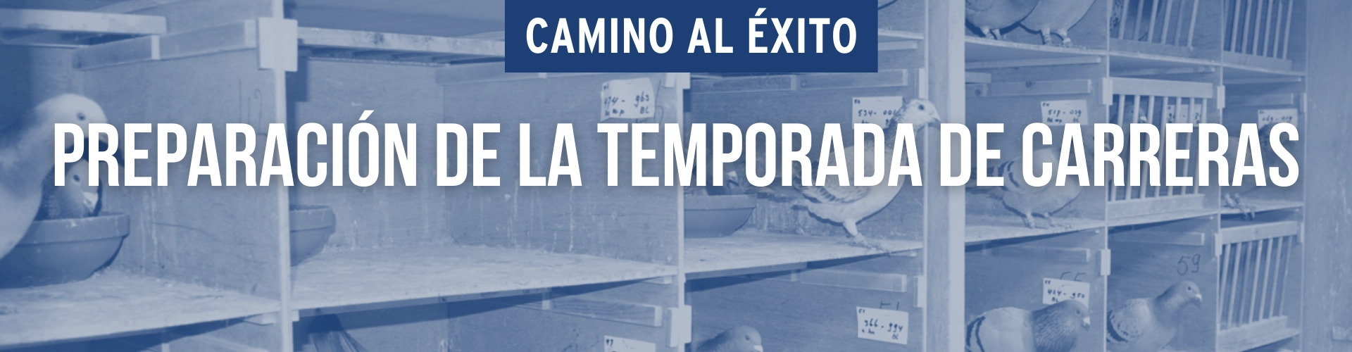 Preparación de la temporada de carreras