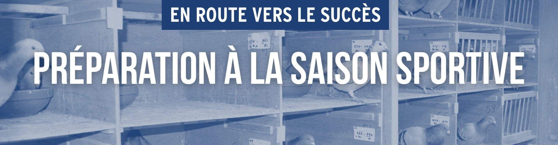 Préparation à la saison sportive