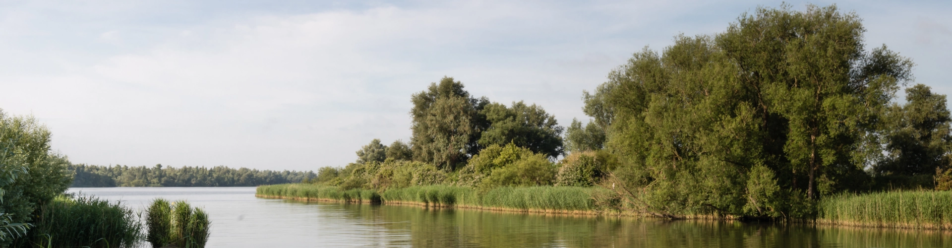 Geniet van het prachtige natuurgebied de Biesbosch