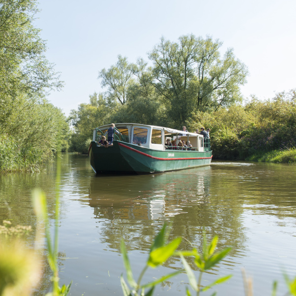 Nationaal Park De Biesbosch