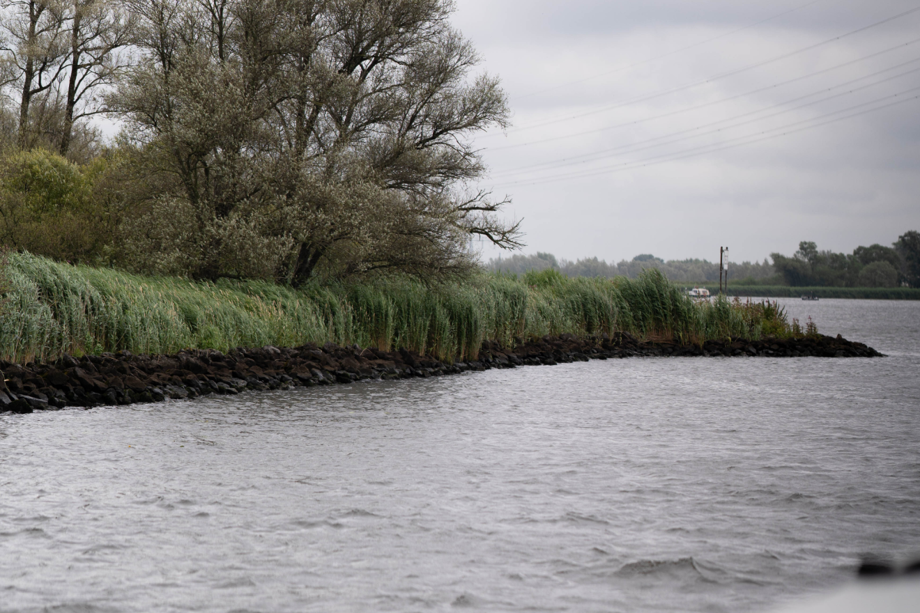 Bevertocht door de Biesbosch