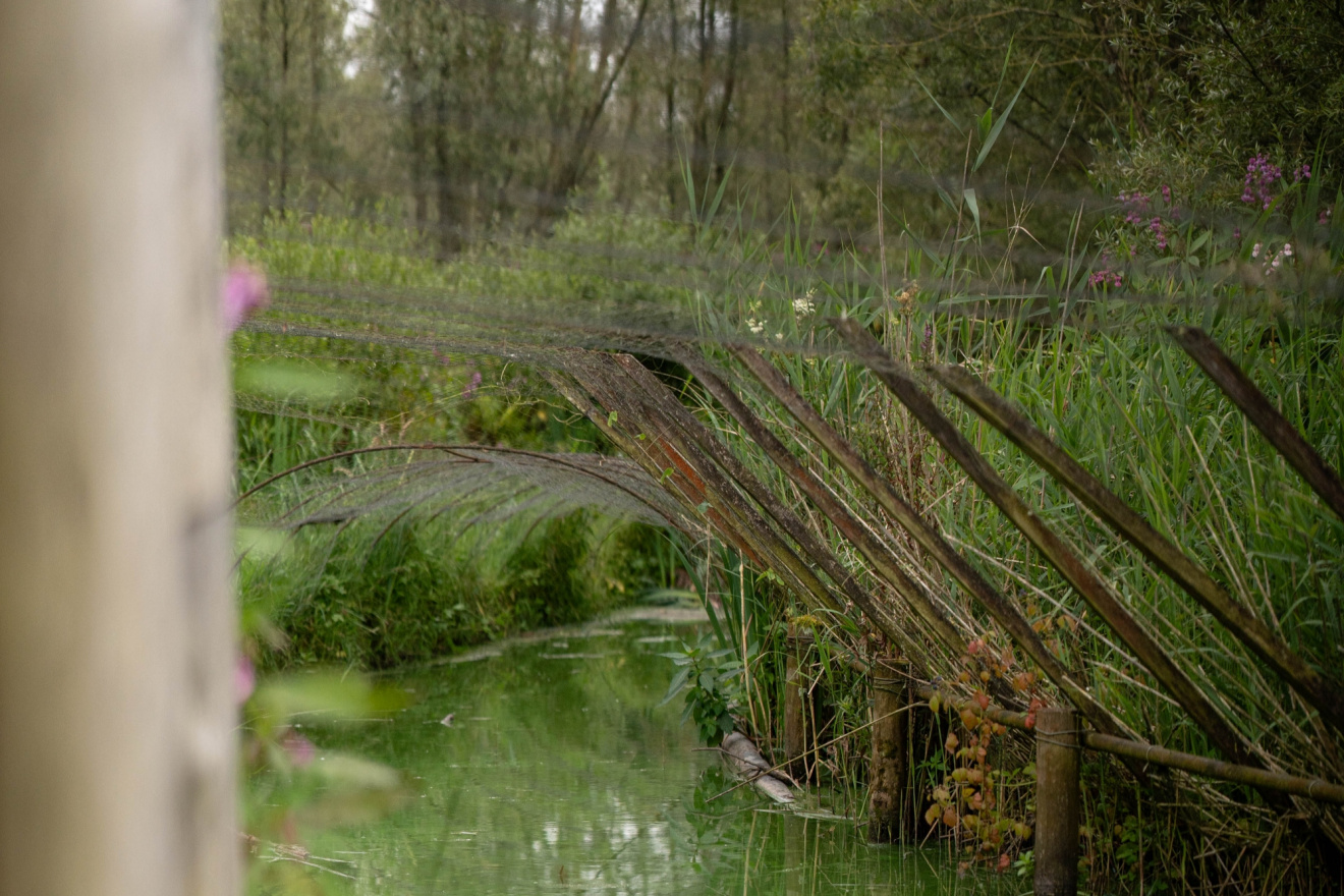 Zwerftocht Biesbosch Beleven