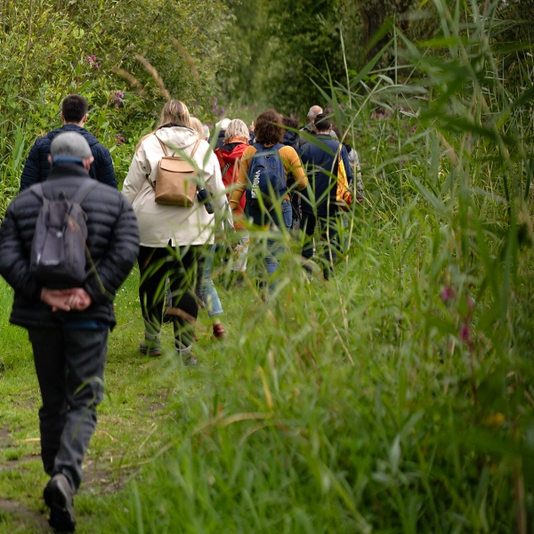 Zwerftocht door de Biesbosch