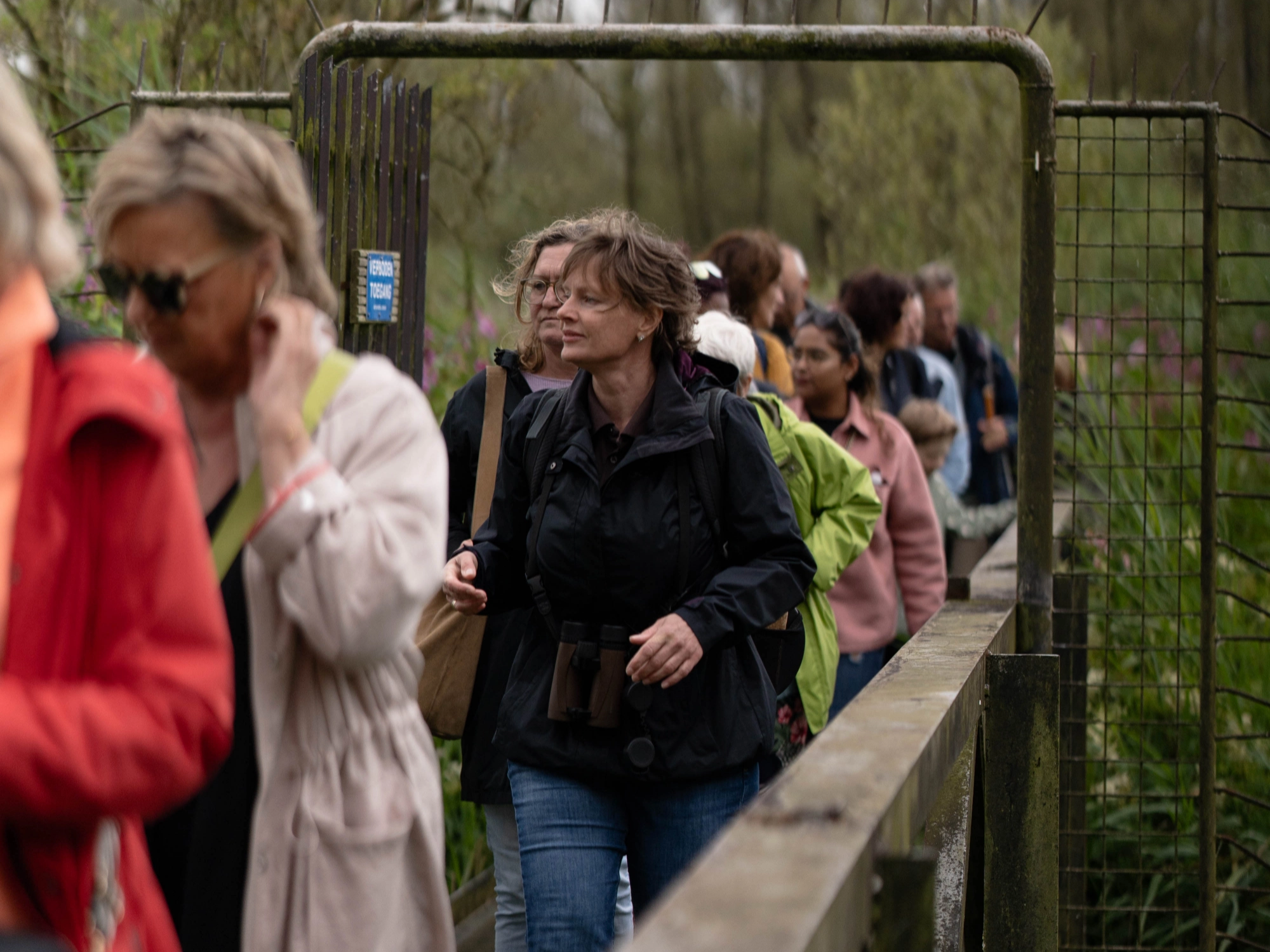 Varen en wandelen in de Biesbosch