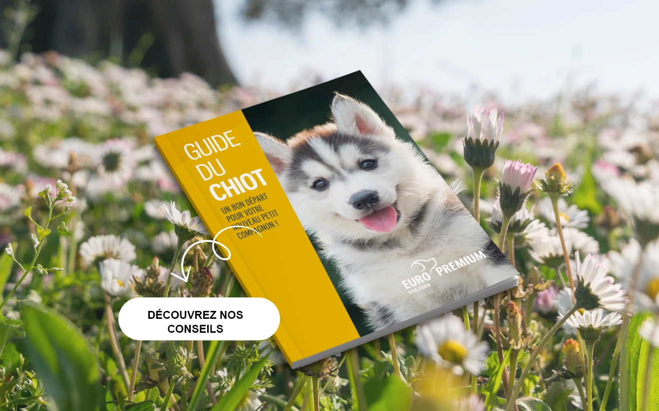 Guide du chiens d%27}EURO PREMIUM