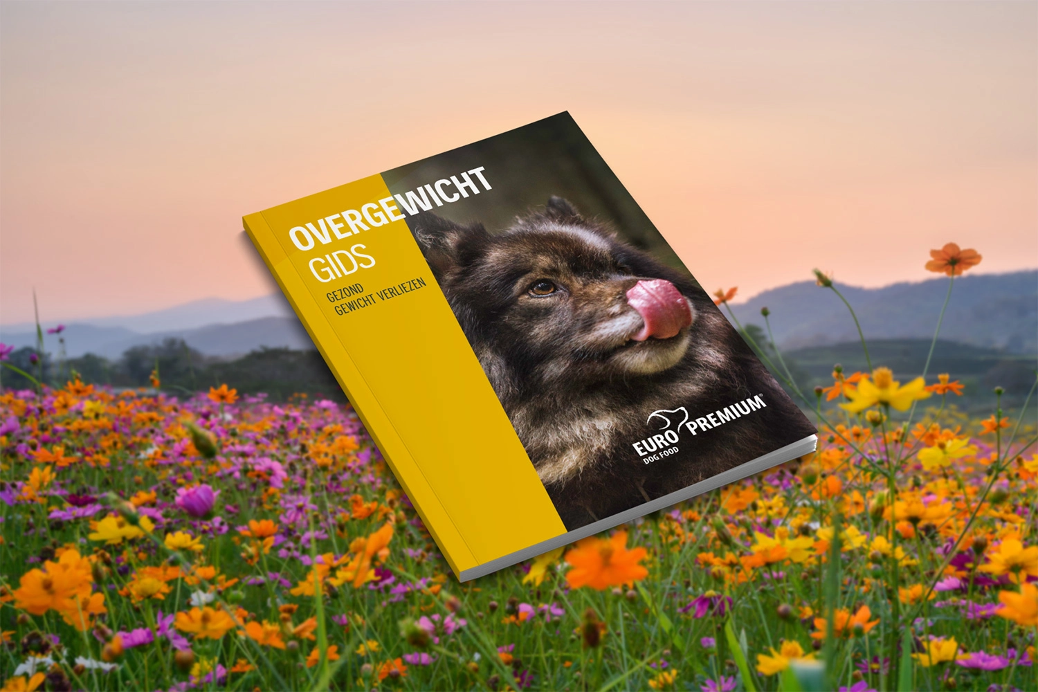 Overgewicht gids van EURO PREMIUM