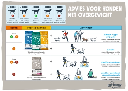 Overgewichtsschema EURO PREMIUM