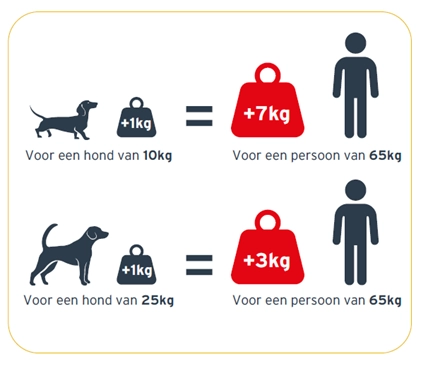 Je hond helpen afvallen: praktische tips bij overgewicht