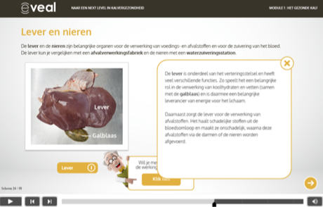 Eveal elearning programma