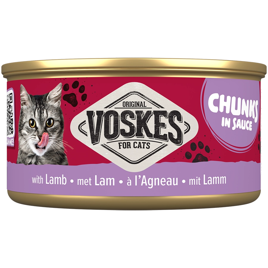 CHUNKS IN SAUS MET LAM |  | VOSKES