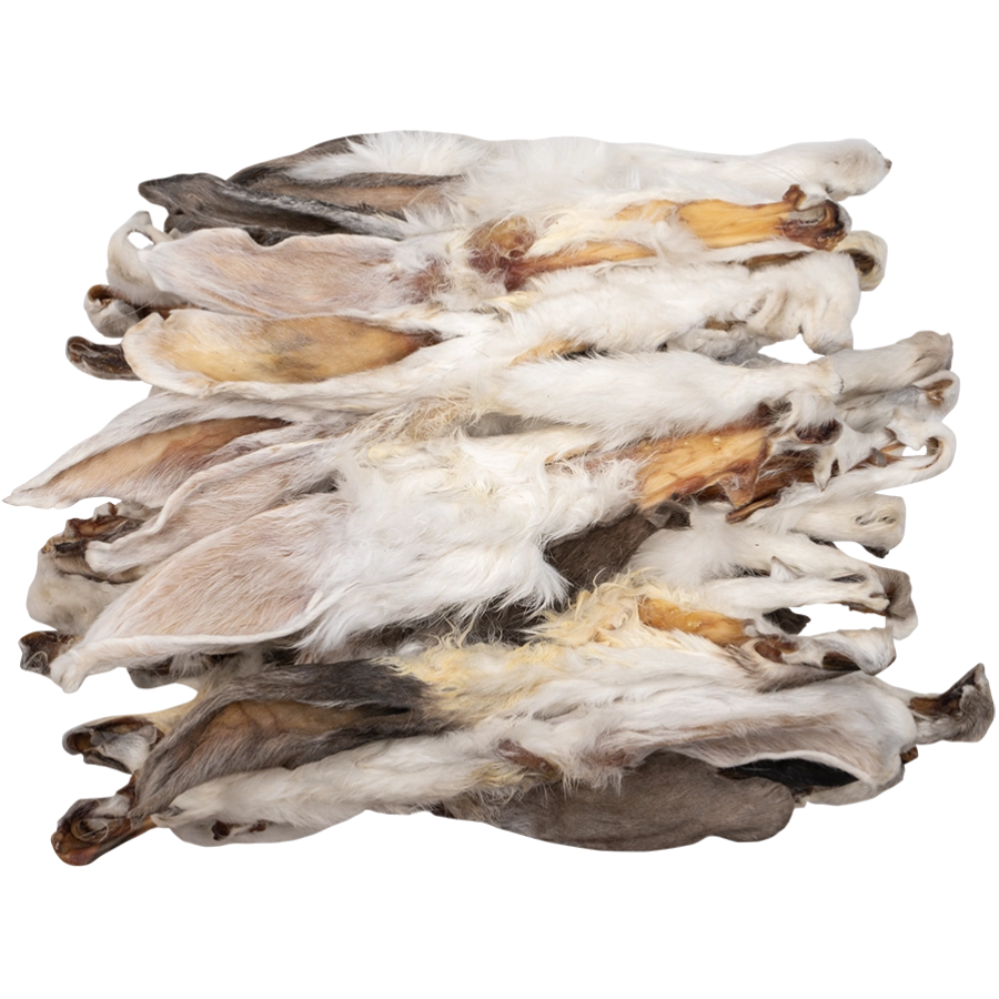 KONIJNENOREN MET VACHT |  | VOSKES