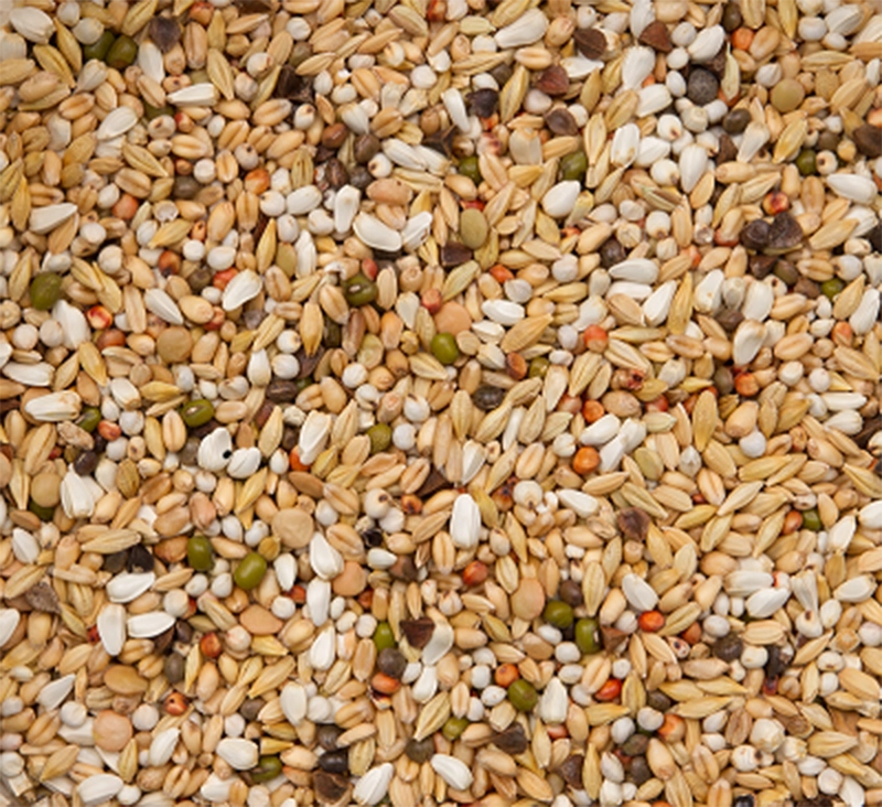 Premium verkerk light | VOSKES