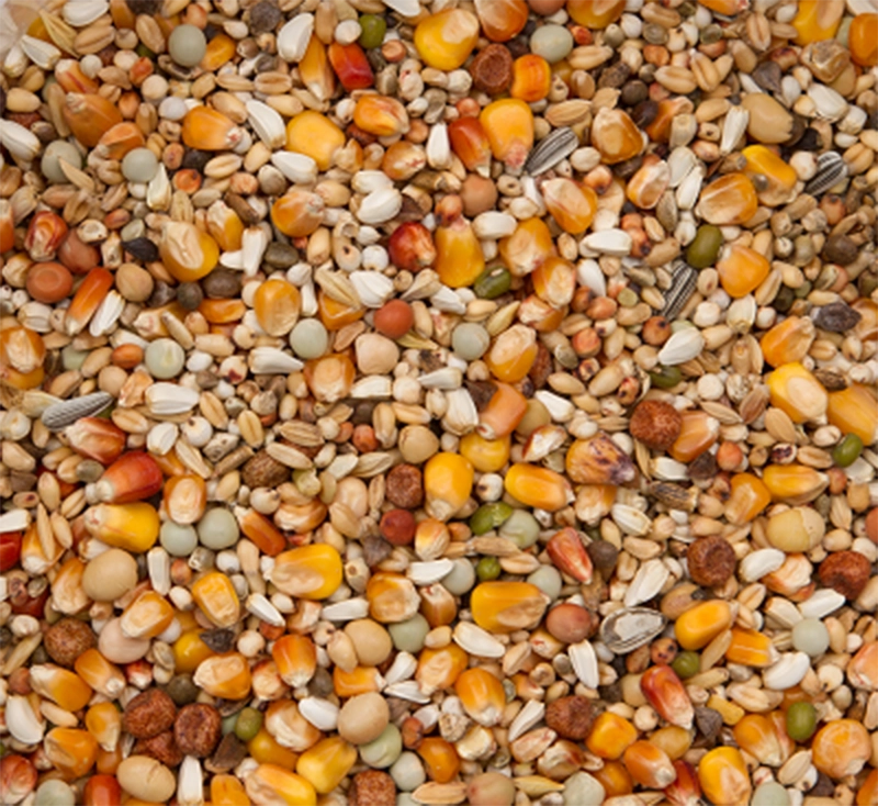 Premium verkerk sport | VOSKES