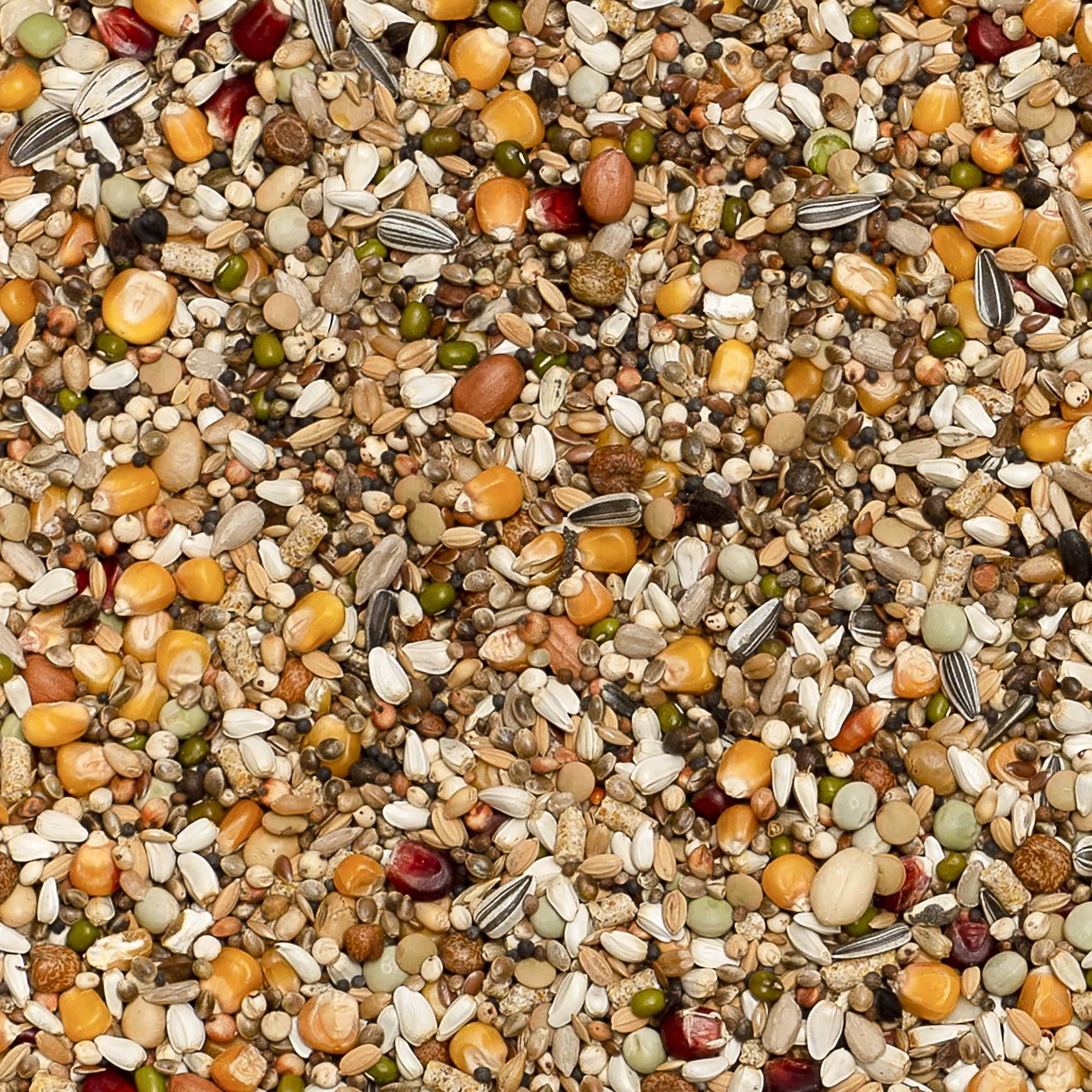 Premium jelle jellema power | VOSKES