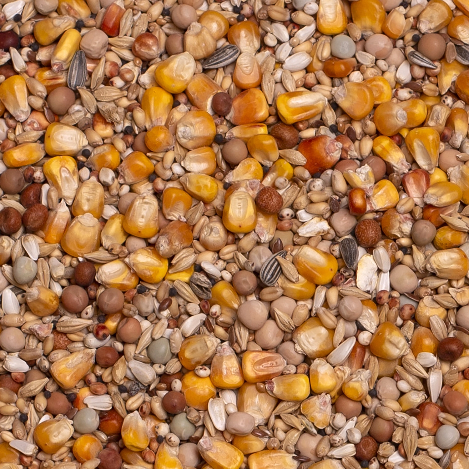 BASIC MOULTING | | Beyers Belgium