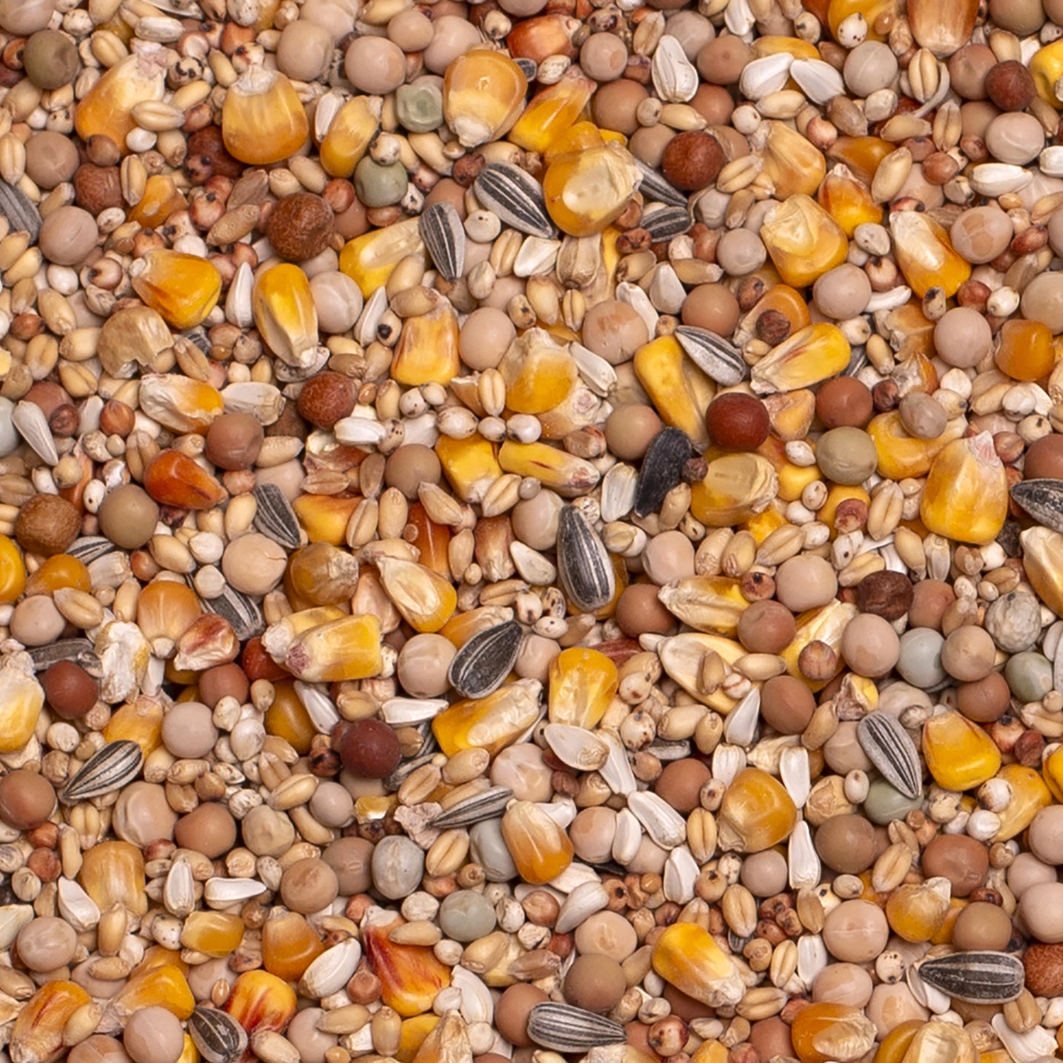 BASIC 4 SEASONS | | Beyers Belgium