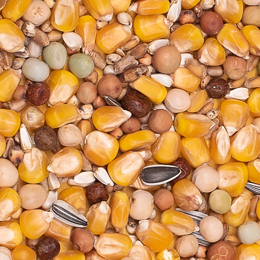 BASIC 4 SEASONS | | Beyers Belgium