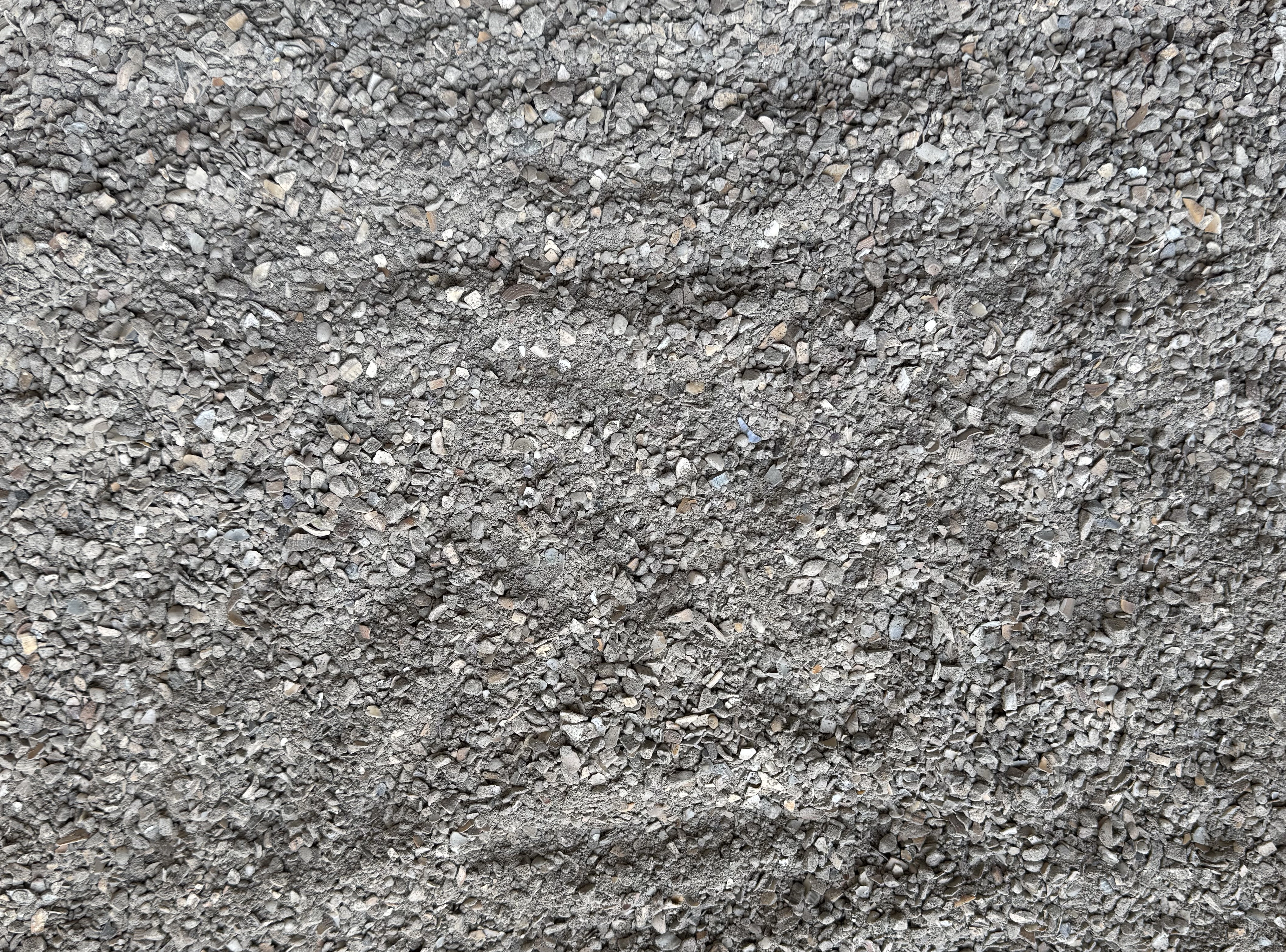 GRIT CORAL | | Beyers Belgium