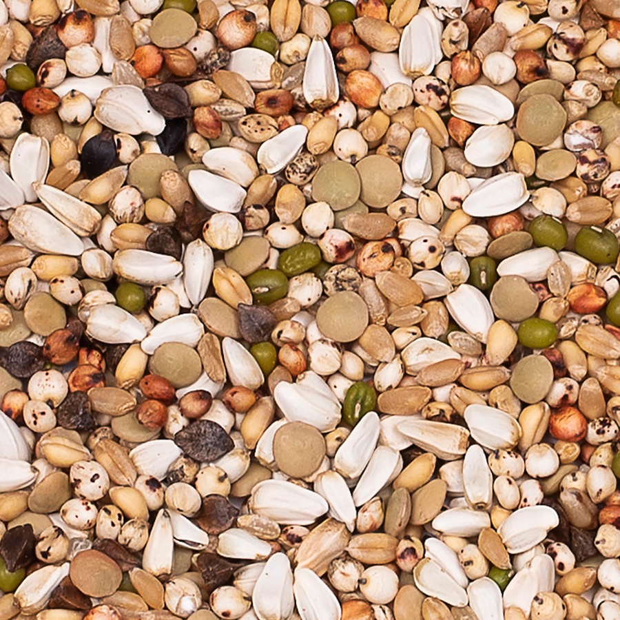 PREMIUM WAL ZOONTJENS YELLOW | | Beyers Belgium