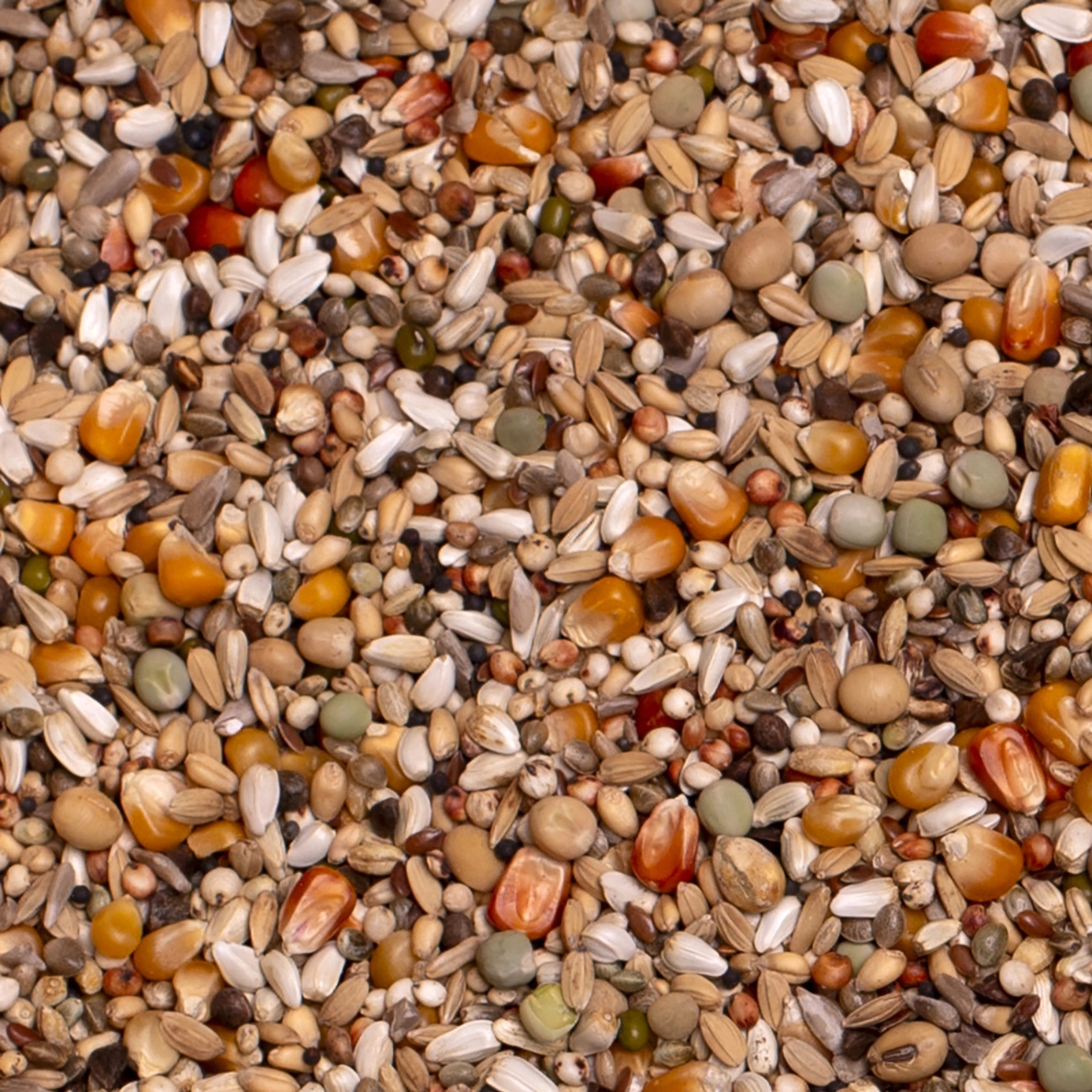 PREMIUM WIDOWHOOD COCKS | VOSKES