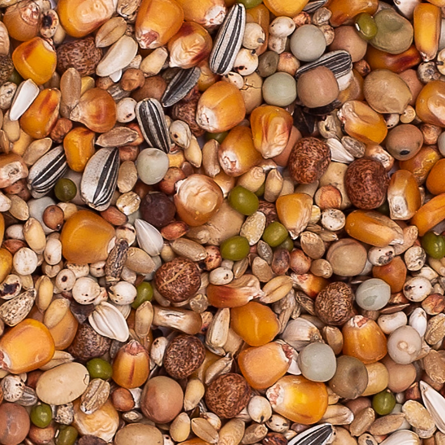 PREMIUM SUPER MOULTING | | Beyers Belgium