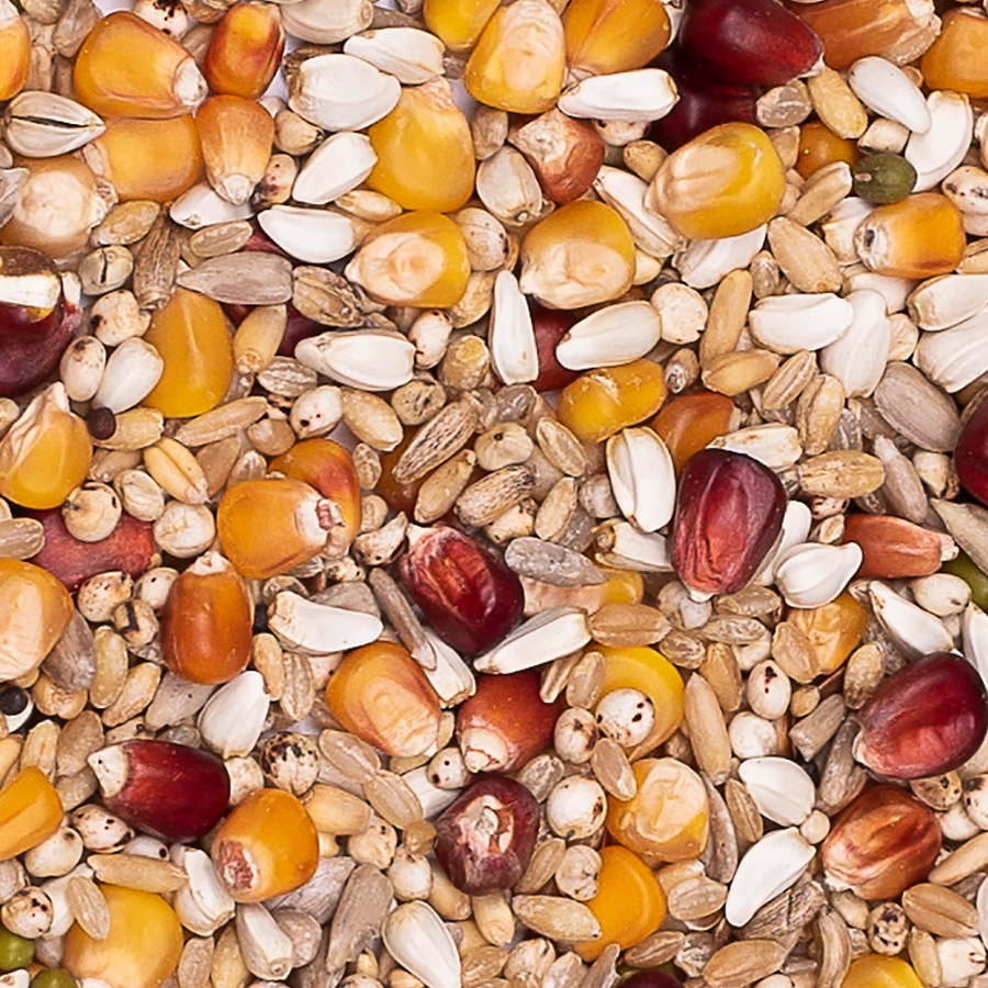 Galaxy sport light | VOSKES