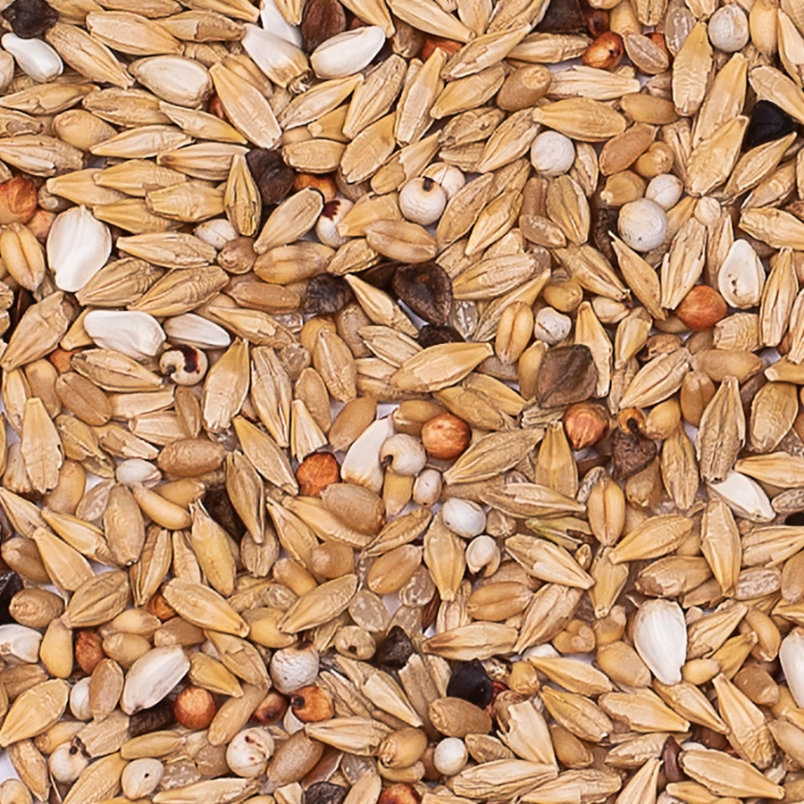 ORIGINAL DEPURATIVE | | Beyers Belgium