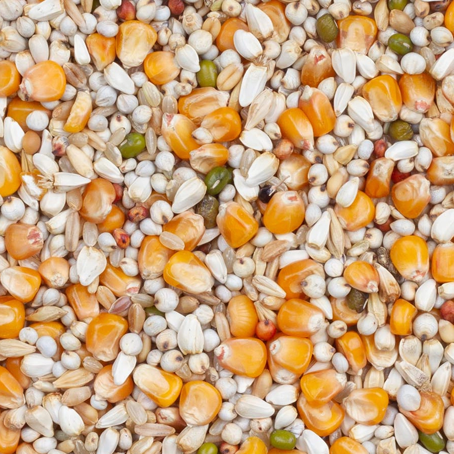 Premium vandenabeele | VOSKES