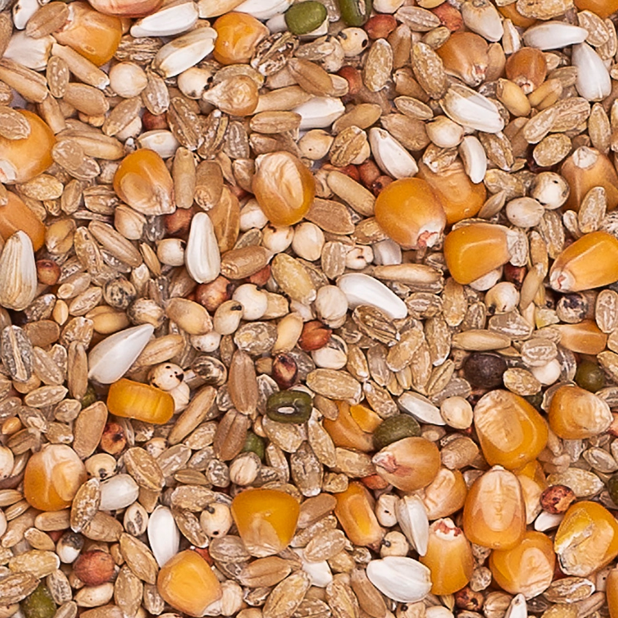 Enzymix 7/48 modern system recup | VOSKES