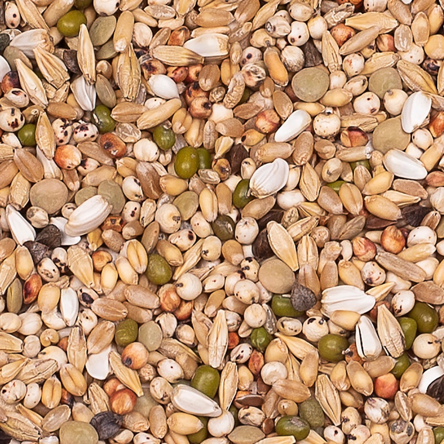 Premium verkerk light | VOSKES