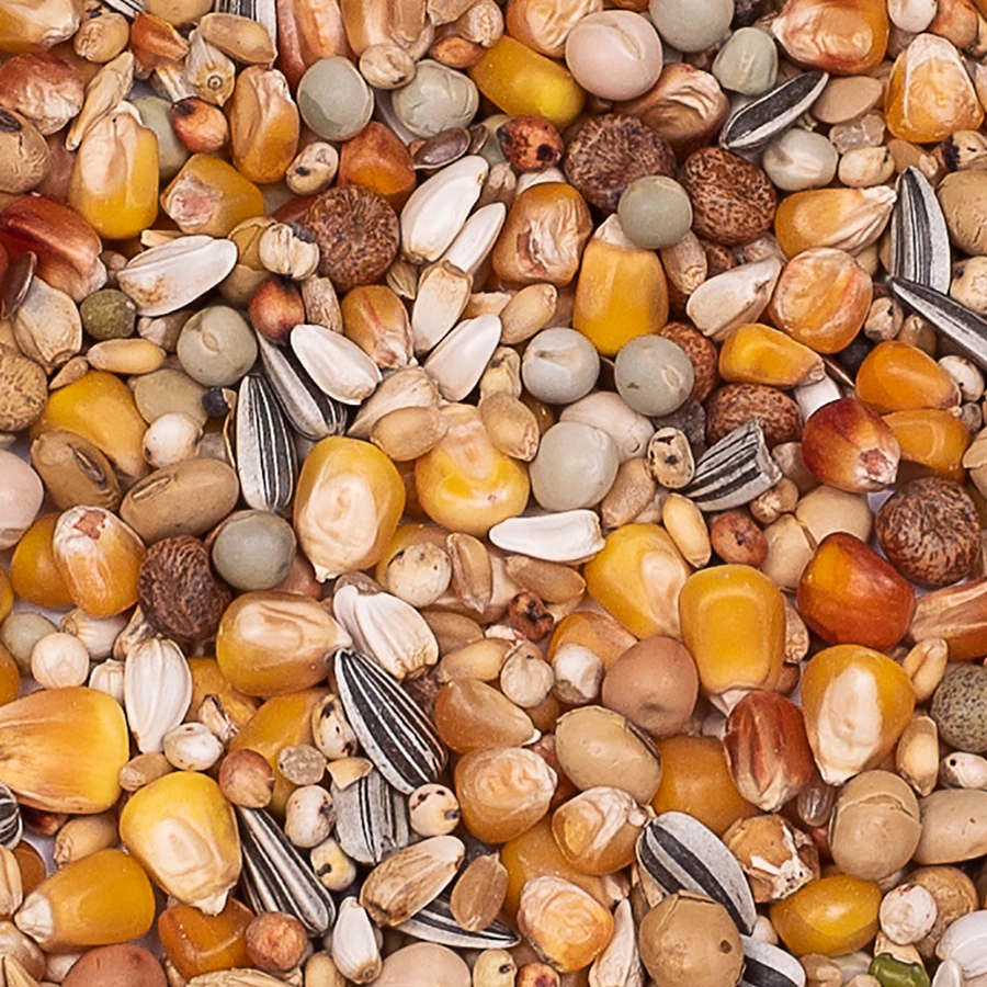 Premium verkerk sport | VOSKES