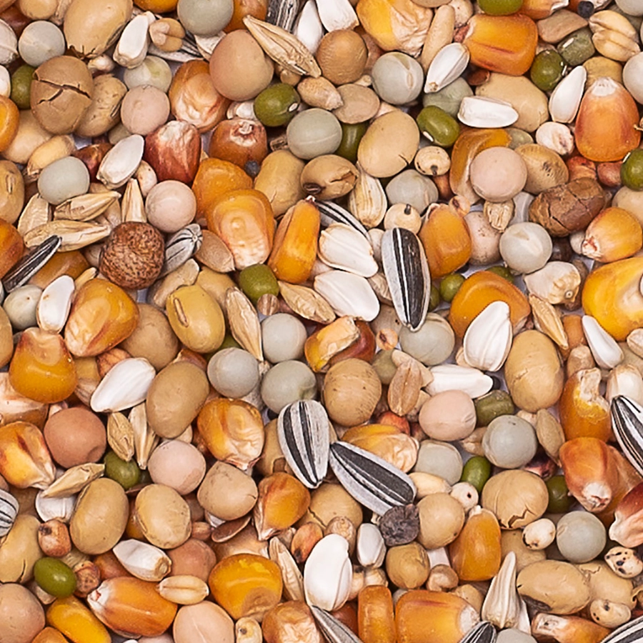 Premium thoné olympic | VOSKES