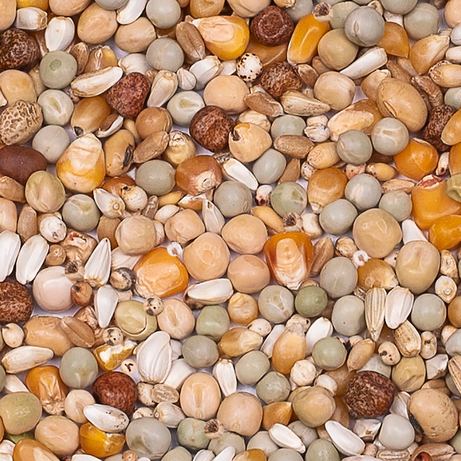 Enzymix 7/40 modern system aufzucht | VOSKES