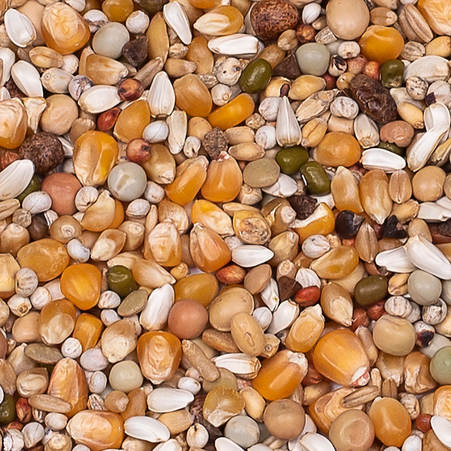 PREMIUM SUPER WIDOWHOOD | | Beyers Belgium