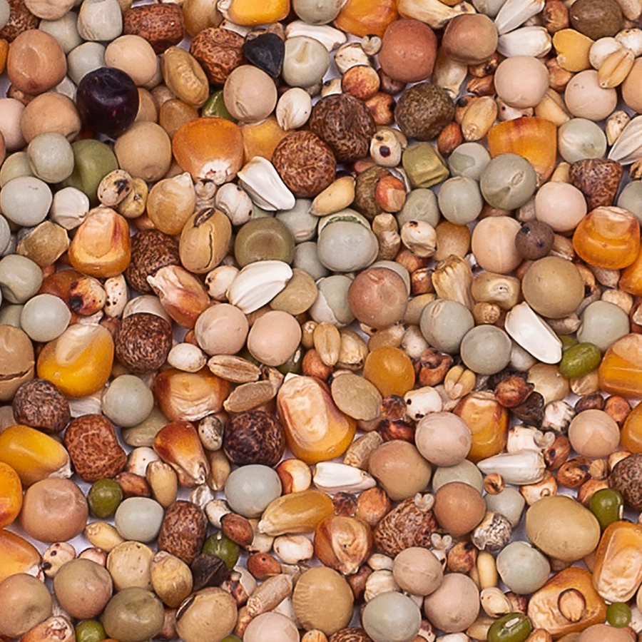 PREMIUM SUPER BREEDING | | Beyers Belgium