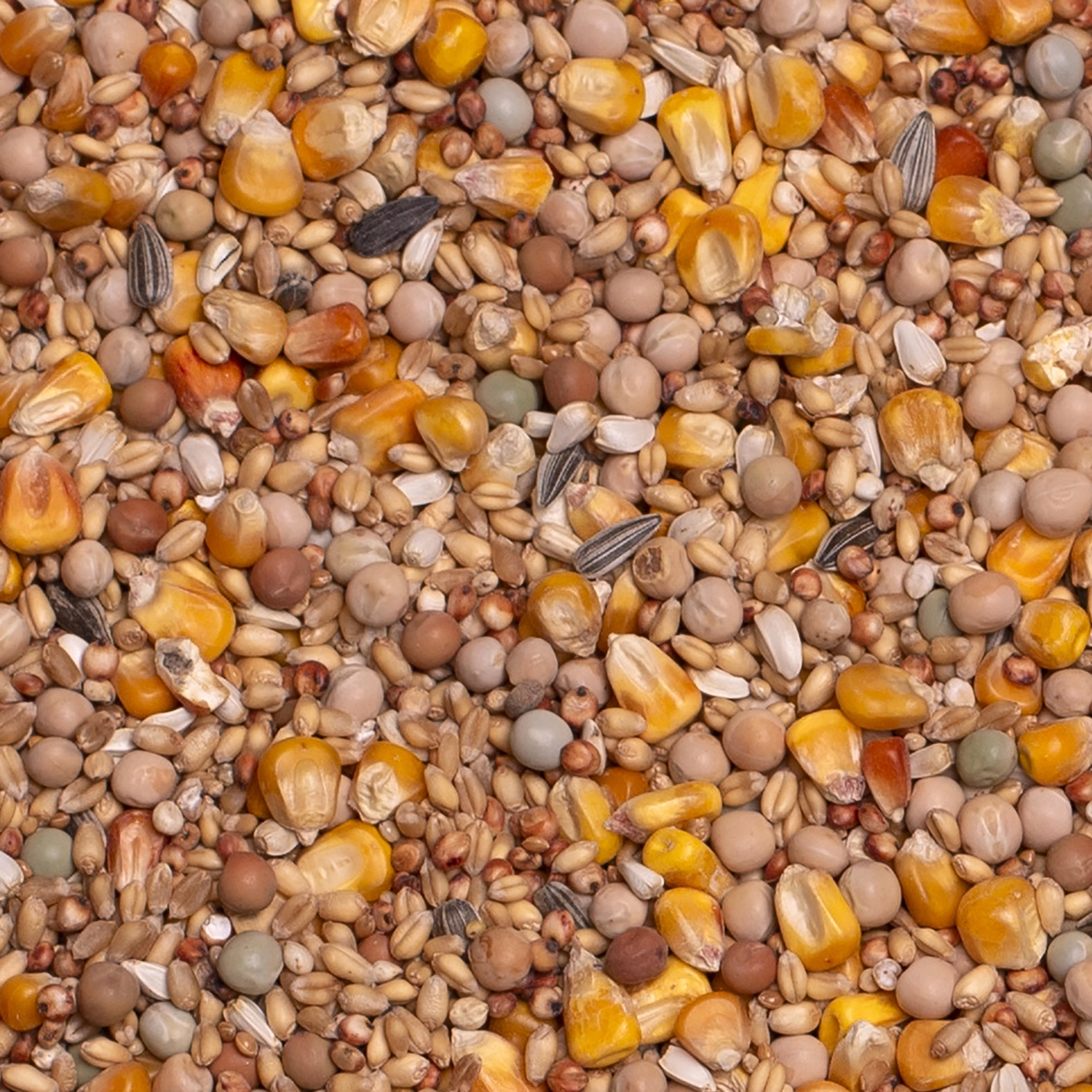 BASIC ALLROUND | | Beyers Belgium