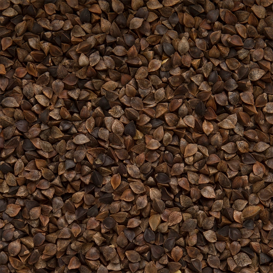 BUCKWHEAT | | Beyers Belgium