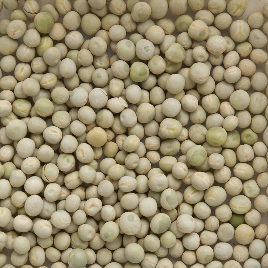 GREEN PEAS | | Beyers Belgium