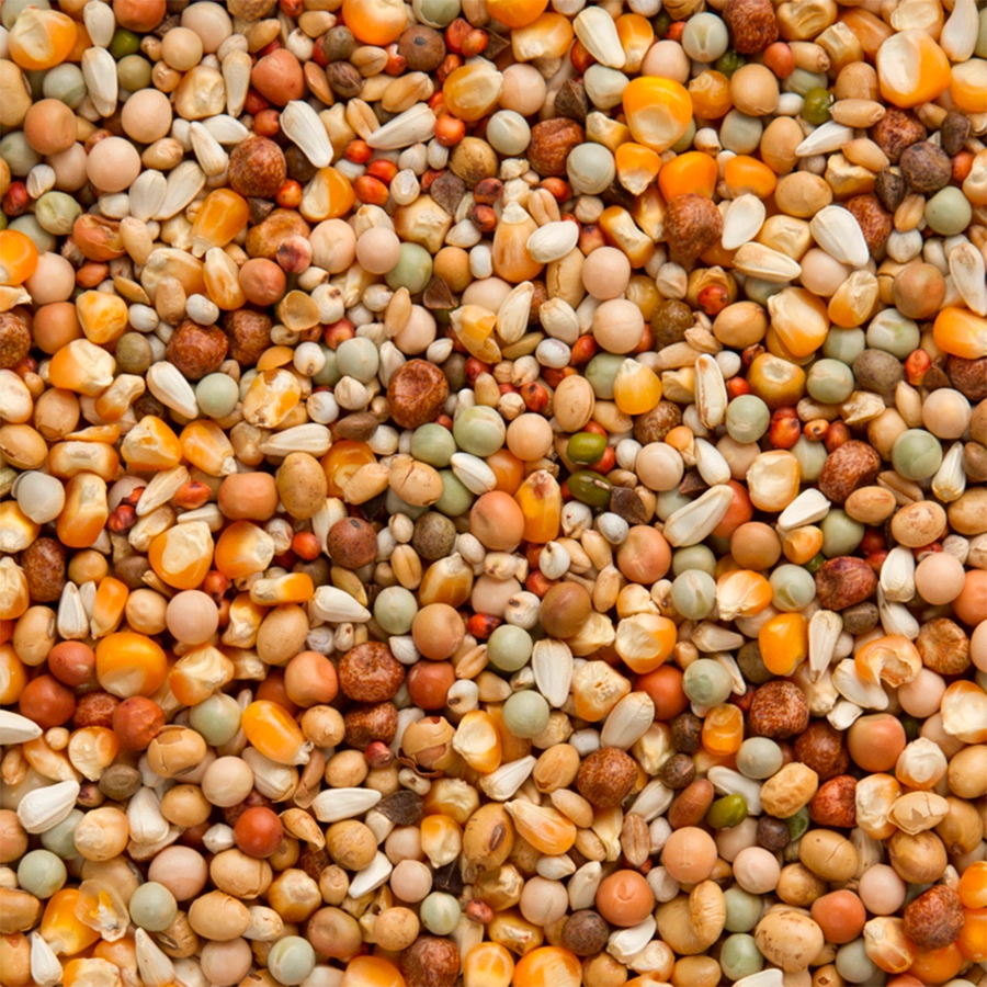 Premium super breeding | VOSKES