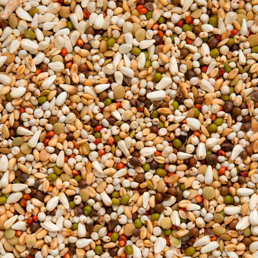 Premium wal zoontjens yellow | VOSKES