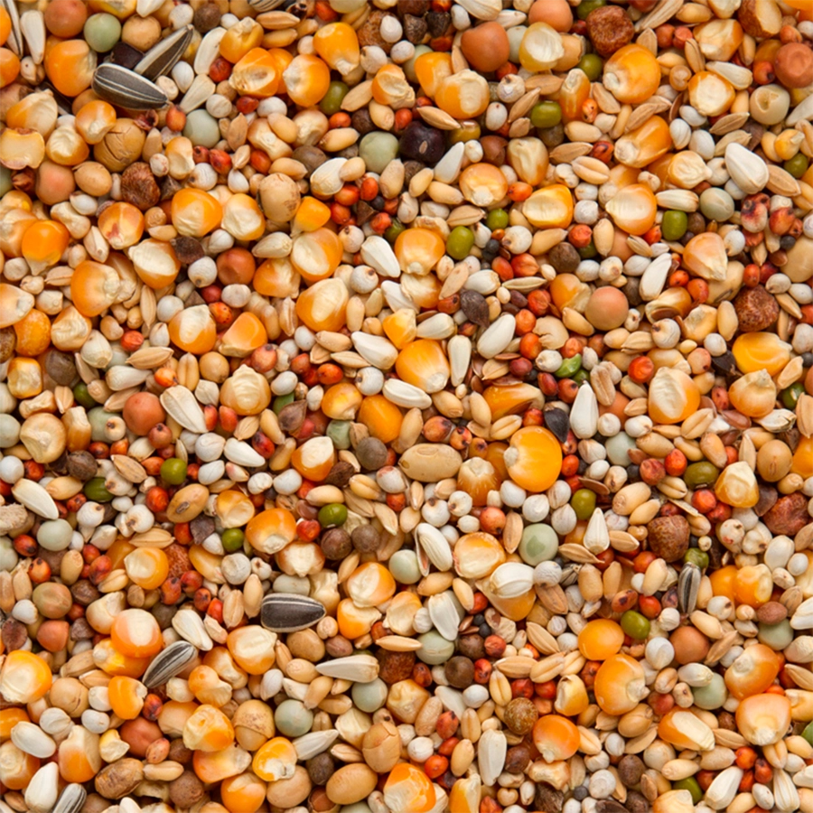 PREMIUM SUPER MOULTING | | Beyers Belgium