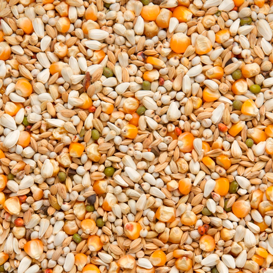 Premium vandenabeele | VOSKES