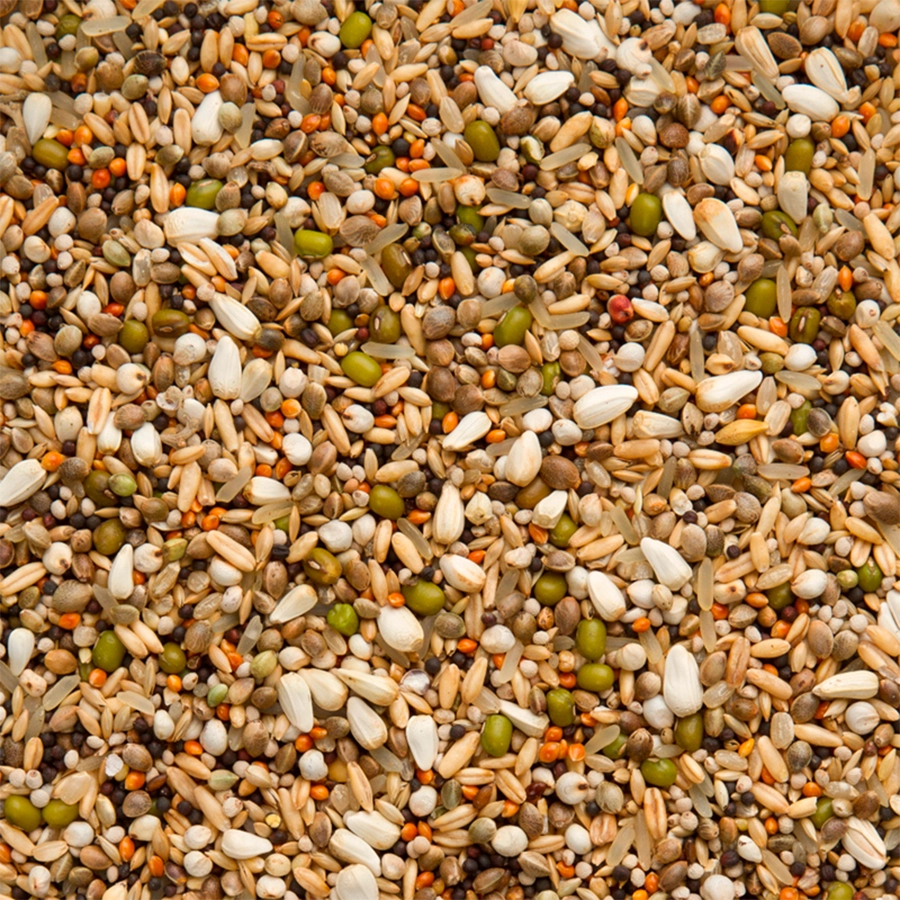 Premium condition mix exclusive | VOSKES