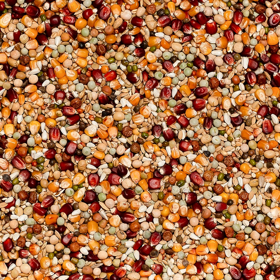 Premium jelle jellema | VOSKES