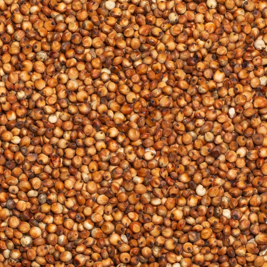 RED MILOCORN | | Beyers Belgium