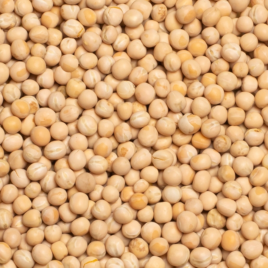 YELLOW PEAS | | Beyers Belgium