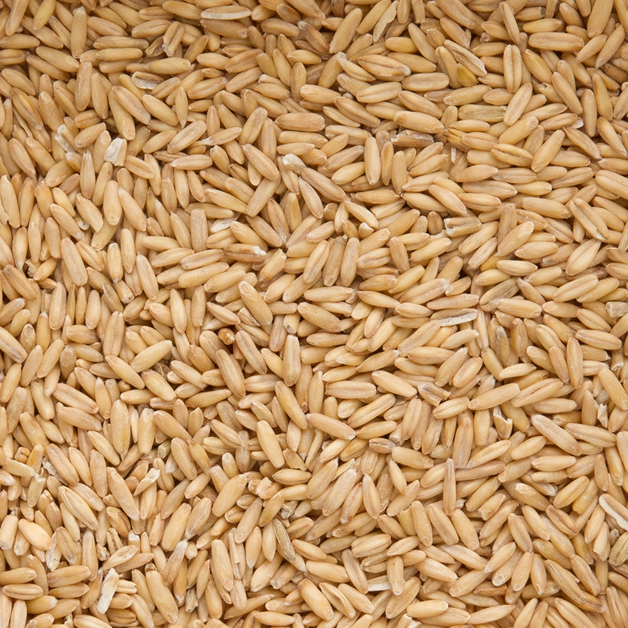 PEELED OATS | | Beyers Belgium