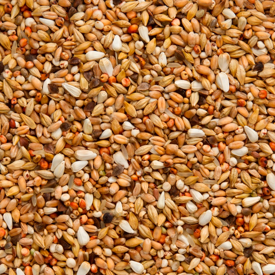 Enzymix 7/33 modern system depurative | VOSKES