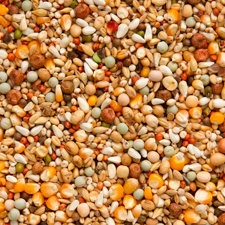 Enzymix 7/43 modern system build-up extra | VOSKES